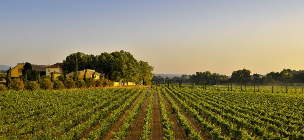 © Photo: Jordi Elías - Informativos.Net (Do NOT COPY even with credits)