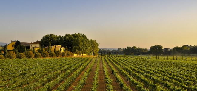 © Photo: Jordi Elías - Informativos.Net (Do NOT COPY even with credits)