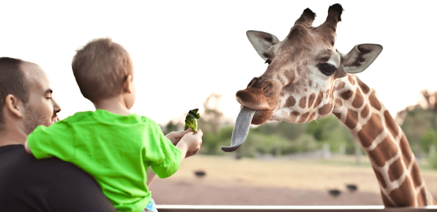 top 10 fun activities to do with kids in barcelona