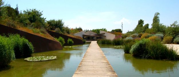 botanical-graden-jardi-botanic-barcelona-with-kids1