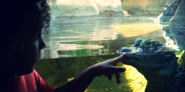 zoo_barcelona_kids_family_animals