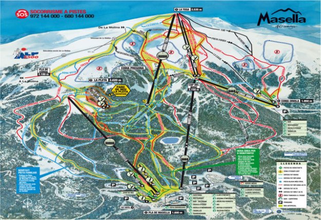 masella